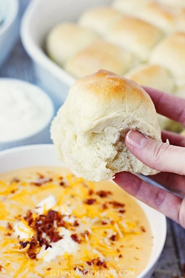 One-hour dinner rolls are the perfect addition to your weeknight meal. They're light, fluffy and take about ⅓ the time of traditional rolls! | halfscratched.com