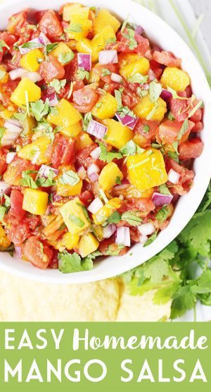 Easy Mango Salsa - Half-Scratched